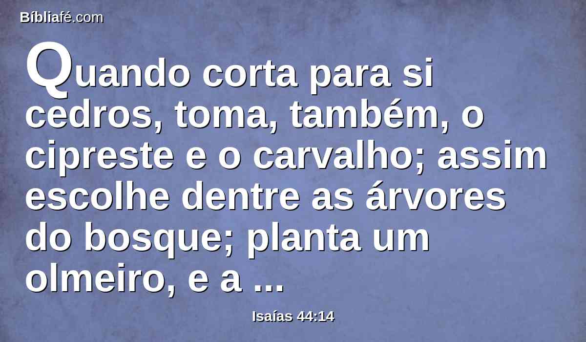 Quando corta para si cedros, toma, também, o cipreste e o carvalho; assim escolhe dentre as árvores do bosque; planta um olmeiro, e a chuva o faz crescer.