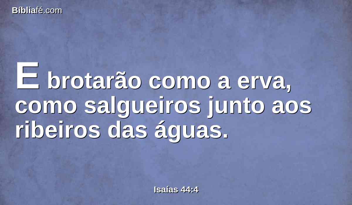 E brotarão como a erva, como salgueiros junto aos ribeiros das águas.