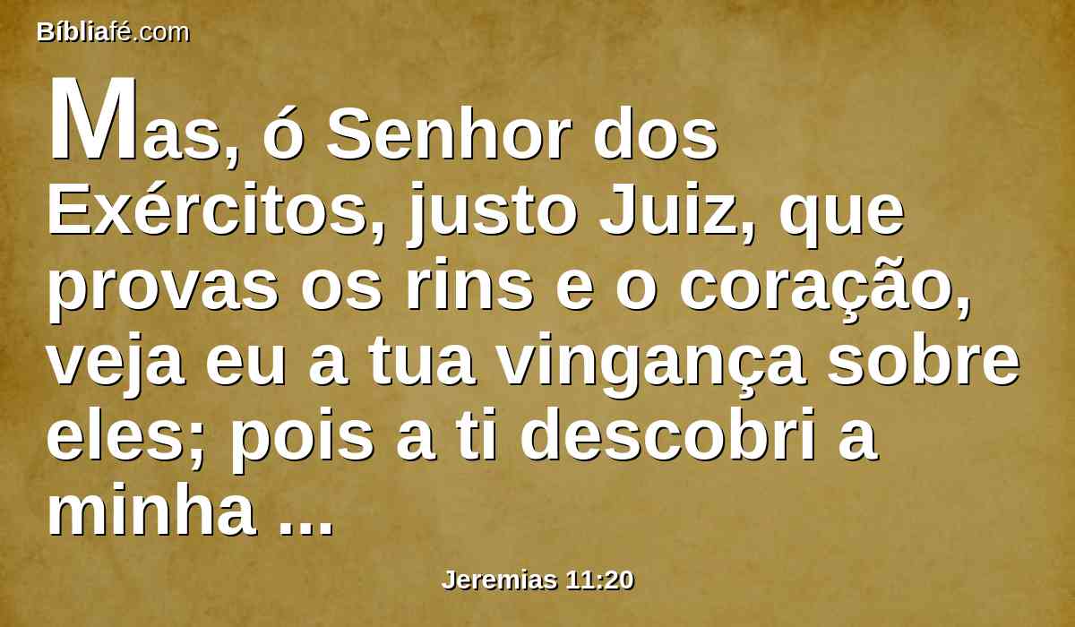 Mas, ó Senhor dos Exércitos, justo Juiz, que provas os rins e o coração, veja eu a tua vingança sobre eles; pois a ti descobri a minha causa.