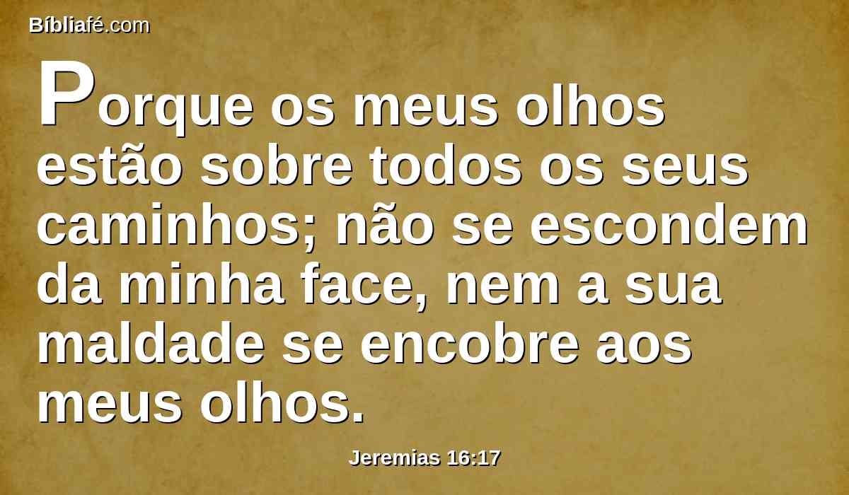 Porque os meus olhos estão sobre todos os seus caminhos; não se escondem da minha face, nem a sua maldade se encobre aos meus olhos.