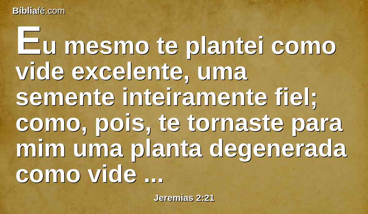 Eu mesmo te plantei como vide excelente, uma semente inteiramente fiel; como, pois, te tornaste para mim uma planta degenerada como vide estranha?