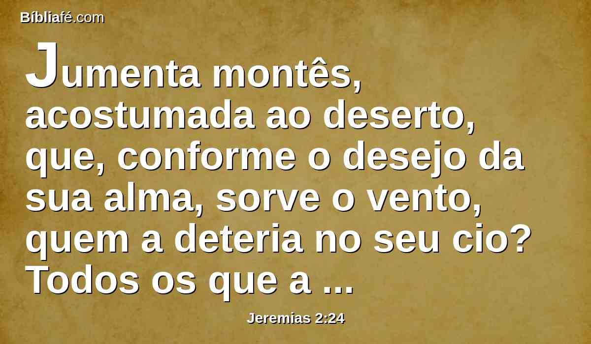 Jumenta montês, acostumada ao deserto, que, conforme o desejo da sua alma, sorve o vento, quem a deteria no seu cio? Todos os que a buscarem não se cansarão; no mês dela a acharão.