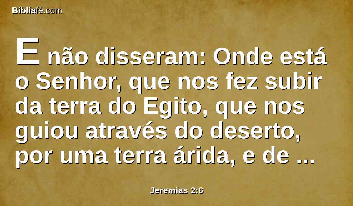 E não disseram: Onde está o Senhor, que nos fez subir da terra do Egito, que nos guiou através do deserto, por uma terra árida, e de covas, por uma terra de sequidão e sombra de morte, por uma terra pela qual ninguém transitava, e na qual não morava homem algum?