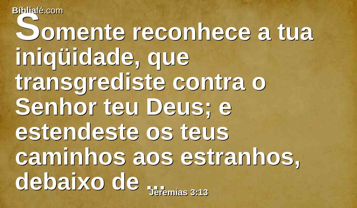 Somente reconhece a tua iniqüidade, que transgrediste contra o Senhor teu Deus; e estendeste os teus caminhos aos estranhos, debaixo de toda a árvore verde, e não deste ouvidos à minha voz, diz o Senhor.