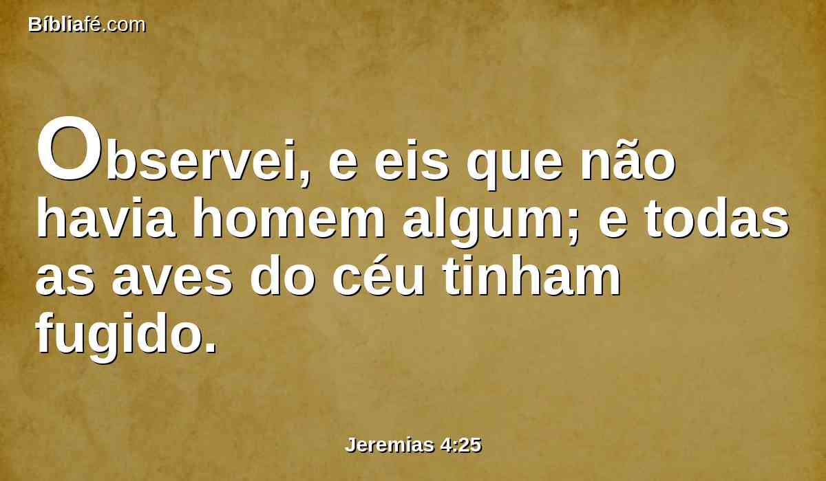 Observei, e eis que não havia homem algum; e todas as aves do céu tinham fugido.