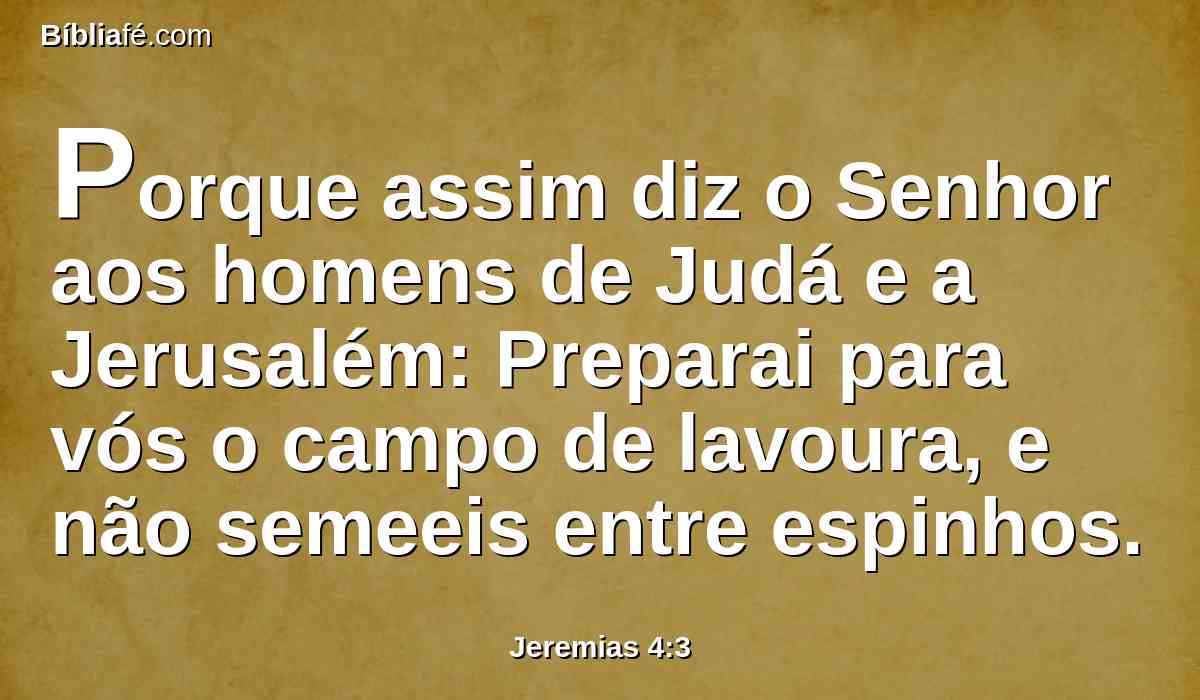 Porque assim diz o Senhor aos homens de Judá e a Jerusalém: Preparai para vós o campo de lavoura, e não semeeis entre espinhos.