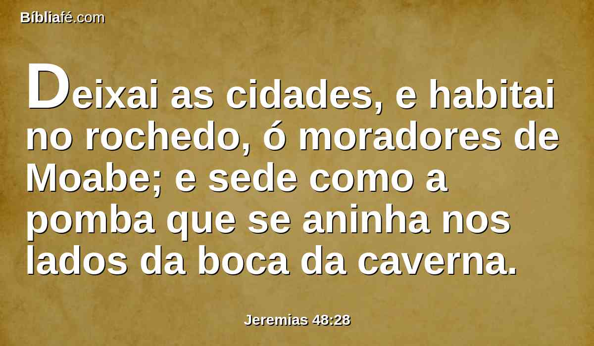 Deixai as cidades, e habitai no rochedo, ó moradores de Moabe; e sede como a pomba que se aninha nos lados da boca da caverna.