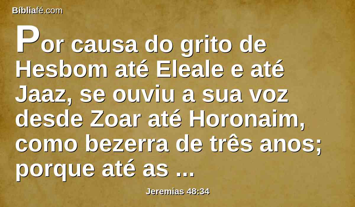 Por causa do grito de Hesbom até Eleale e até Jaaz, se ouviu a sua voz desde Zoar até Horonaim, como bezerra de três anos; porque até as águas do Ninrim se tornarão em assolação.