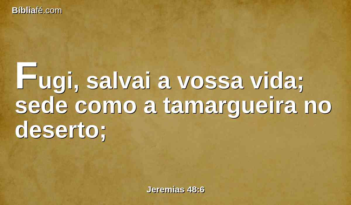 Fugi, salvai a vossa vida; sede como a tamargueira no deserto;