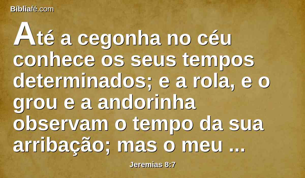 Até a cegonha no céu conhece os seus tempos determinados; e a rola, e o grou e a andorinha observam o tempo da sua arribação; mas o meu povo não conhece o juízo do Senhor.