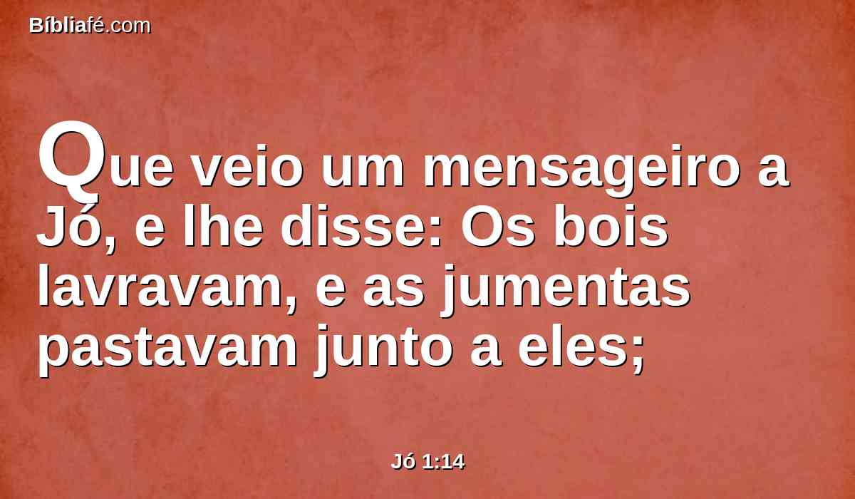 Que veio um mensageiro a Jó, e lhe disse: Os bois lavravam, e as jumentas pastavam junto a eles;