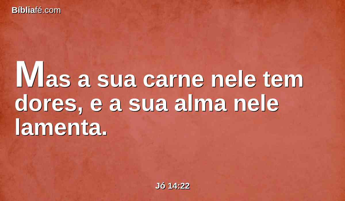 Mas a sua carne nele tem dores, e a sua alma nele lamenta.