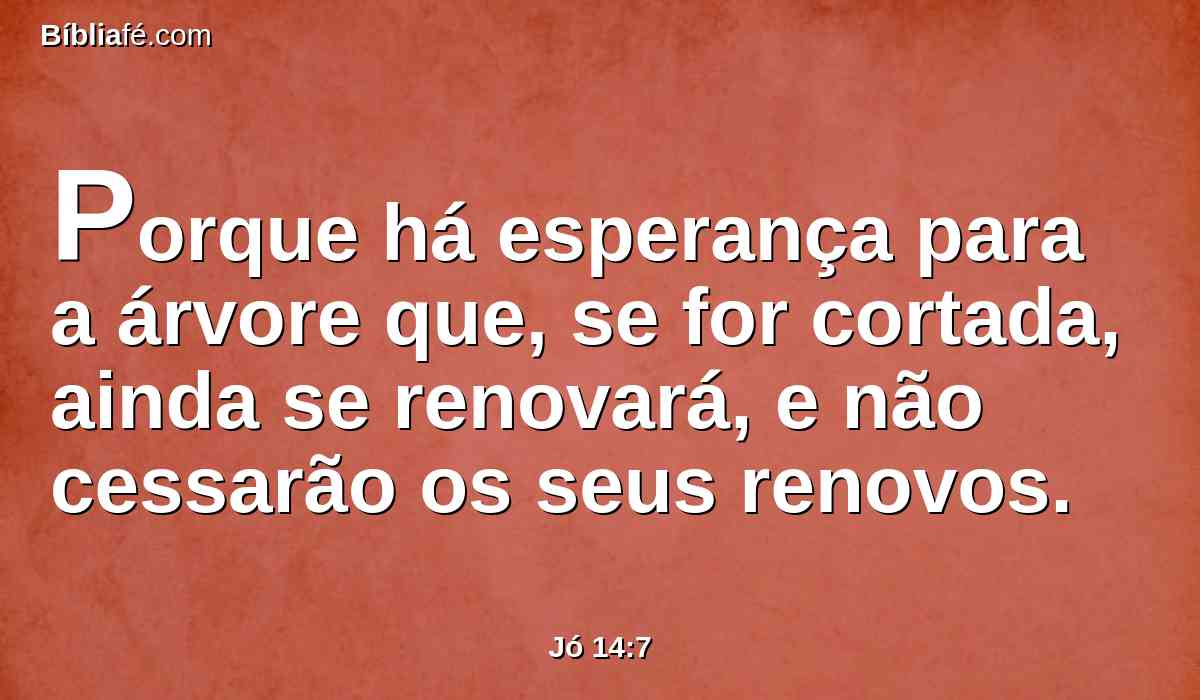 Porque há esperança para a árvore que, se for cortada, ainda se renovará, e não cessarão os seus renovos.