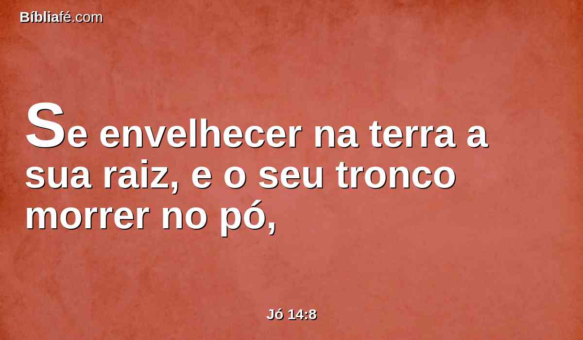 Se envelhecer na terra a sua raiz, e o seu tronco morrer no pó,