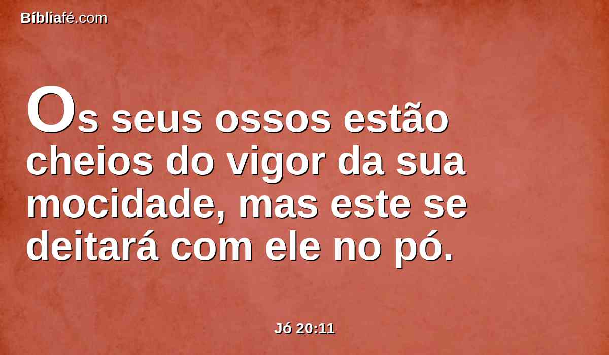 Os seus ossos estão cheios do vigor da sua mocidade, mas este se deitará com ele no pó.