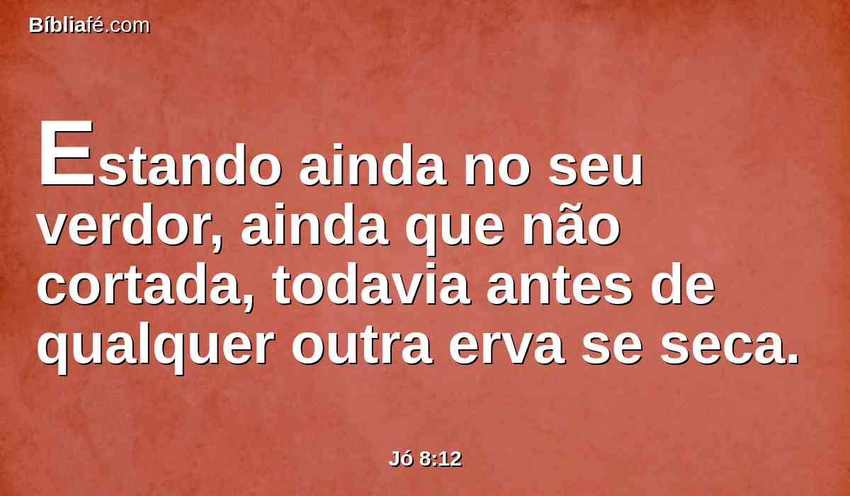 Estando ainda no seu verdor, ainda que não cortada, todavia antes de qualquer outra erva se seca.