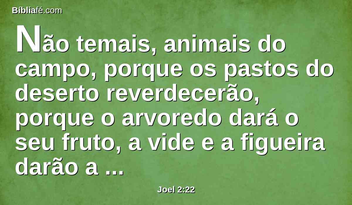Não temais, animais do campo, porque os pastos do deserto reverdecerão, porque o arvoredo dará o seu fruto, a vide e a figueira darão a sua força.