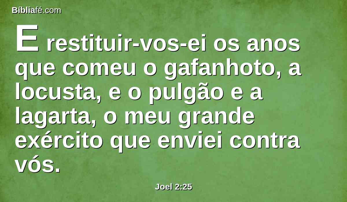 E restituir-vos-ei os anos que comeu o gafanhoto, a locusta, e o pulgão e a lagarta, o meu grande exército que enviei contra vós.