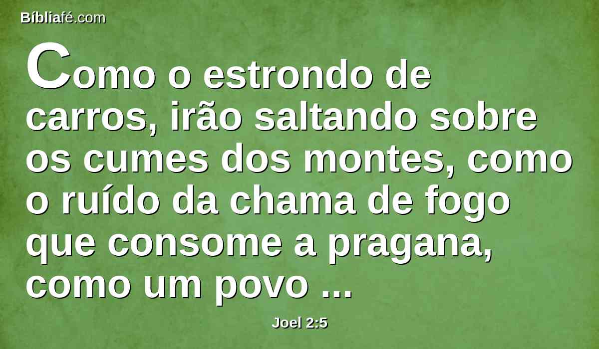Como o estrondo de carros, irão saltando sobre os cumes dos montes, como o ruído da chama de fogo que consome a pragana, como um povo poderoso, posto em ordem para o combate.