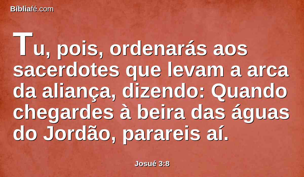 Tu, pois, ordenarás aos sacerdotes que levam a arca da aliança, dizendo: Quando chegardes à beira das águas do Jordão, parareis aí.
