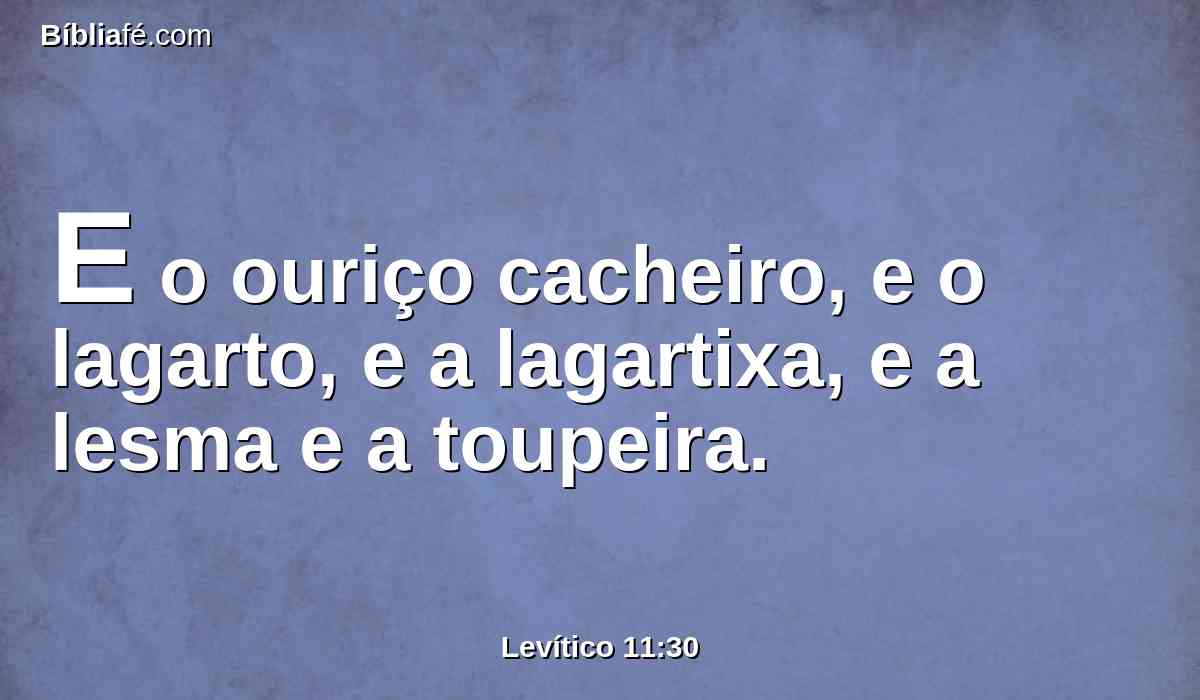 E o ouriço cacheiro, e o lagarto, e a lagartixa, e a lesma e a toupeira.