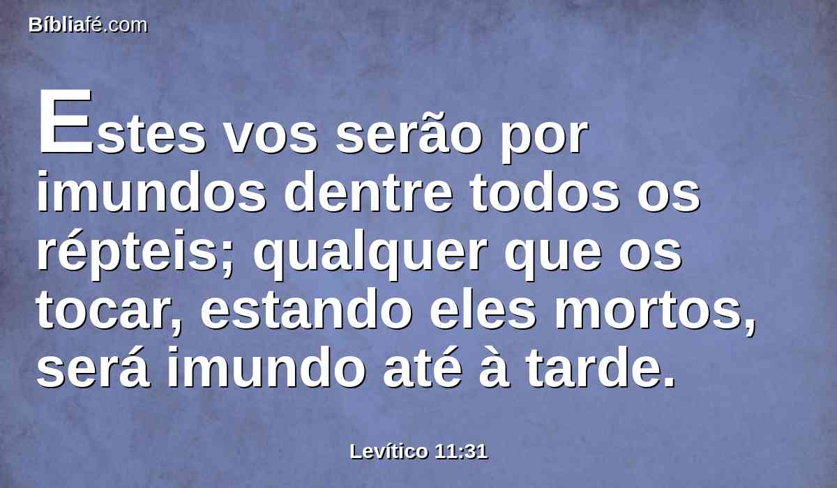 Estes vos serão por imundos dentre todos os répteis; qualquer que os tocar, estando eles mortos, será imundo até à tarde.