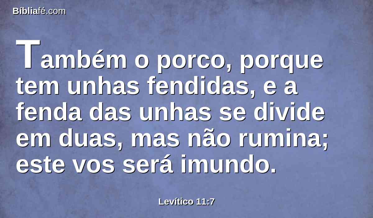 Também o porco, porque tem unhas fendidas, e a fenda das unhas se divide em duas, mas não rumina; este vos será imundo.