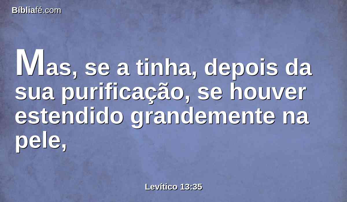 Mas, se a tinha, depois da sua purificação, se houver estendido grandemente na pele,