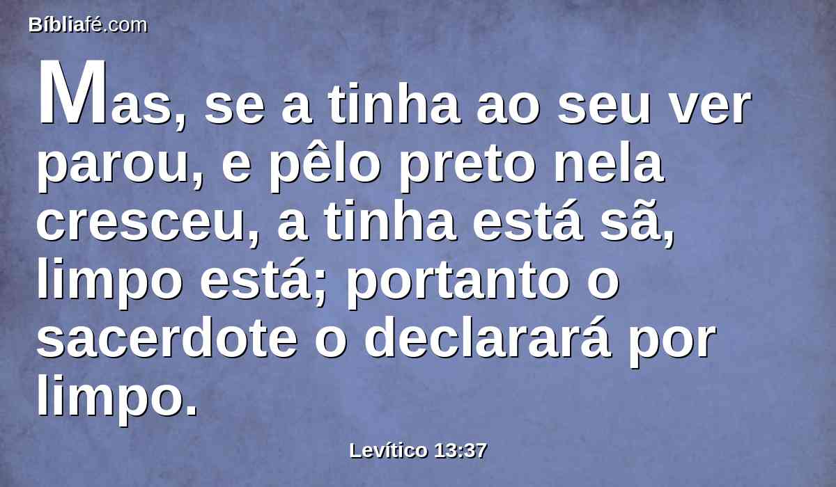 Mas, se a tinha ao seu ver parou, e pêlo preto nela cresceu, a tinha está sã, limpo está; portanto o sacerdote o declarará por limpo.