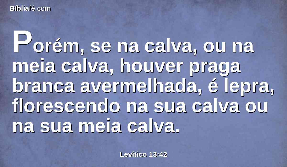 Porém, se na calva, ou na meia calva, houver praga branca avermelhada, é lepra, florescendo na sua calva ou na sua meia calva.