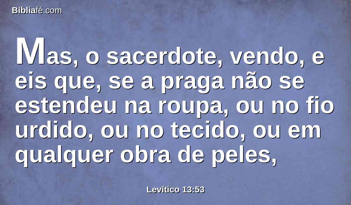 Mas, o sacerdote, vendo, e eis que, se a praga não se estendeu na roupa, ou no fio urdido, ou no tecido, ou em qualquer obra de peles,