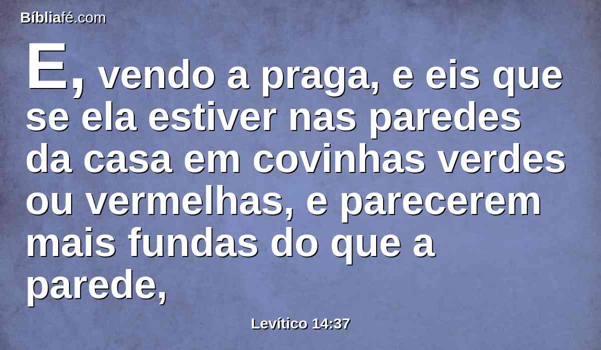 E, vendo a praga, e eis que se ela estiver nas paredes da casa em covinhas verdes ou vermelhas, e parecerem mais fundas do que a parede,