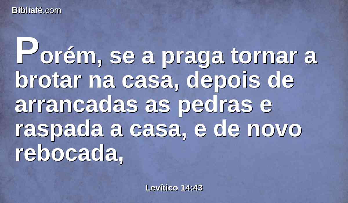 Porém, se a praga tornar a brotar na casa, depois de arrancadas as pedras e raspada a casa, e de novo rebocada,