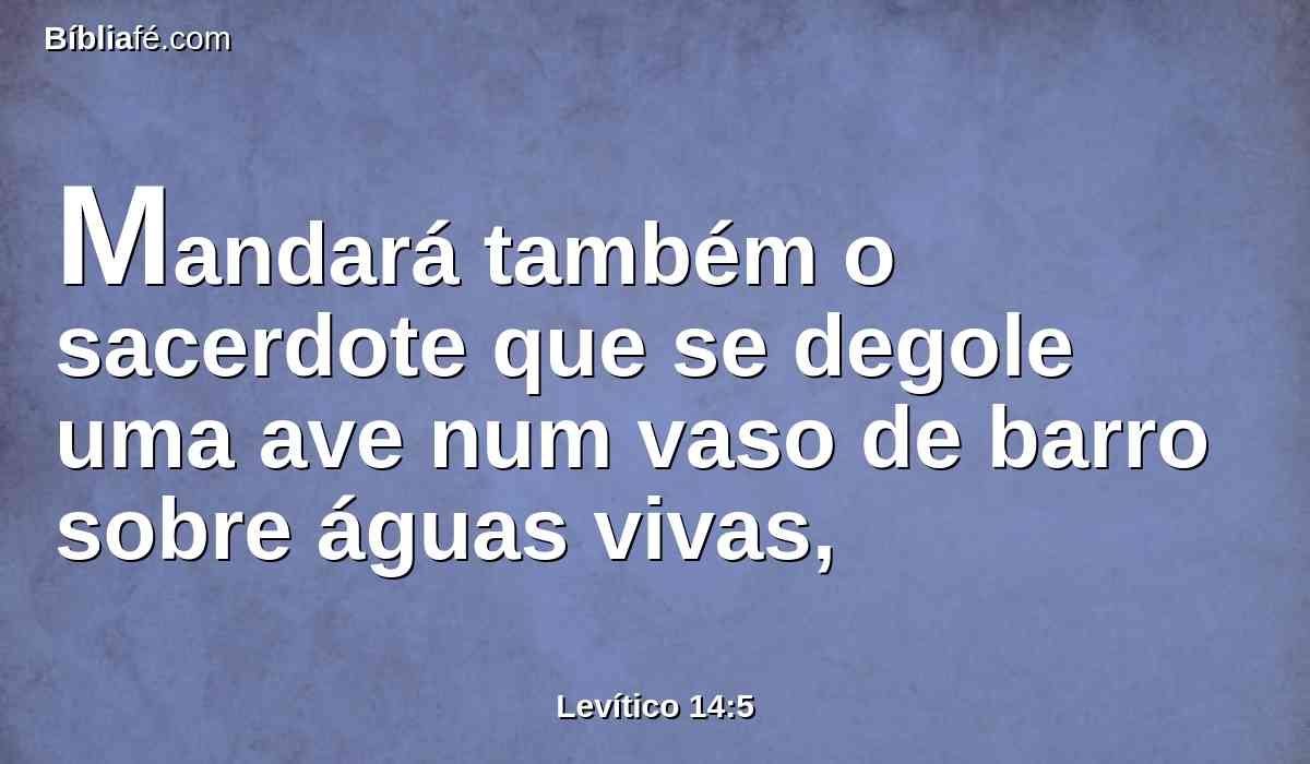 Mandará também o sacerdote que se degole uma ave num vaso de barro sobre águas vivas,