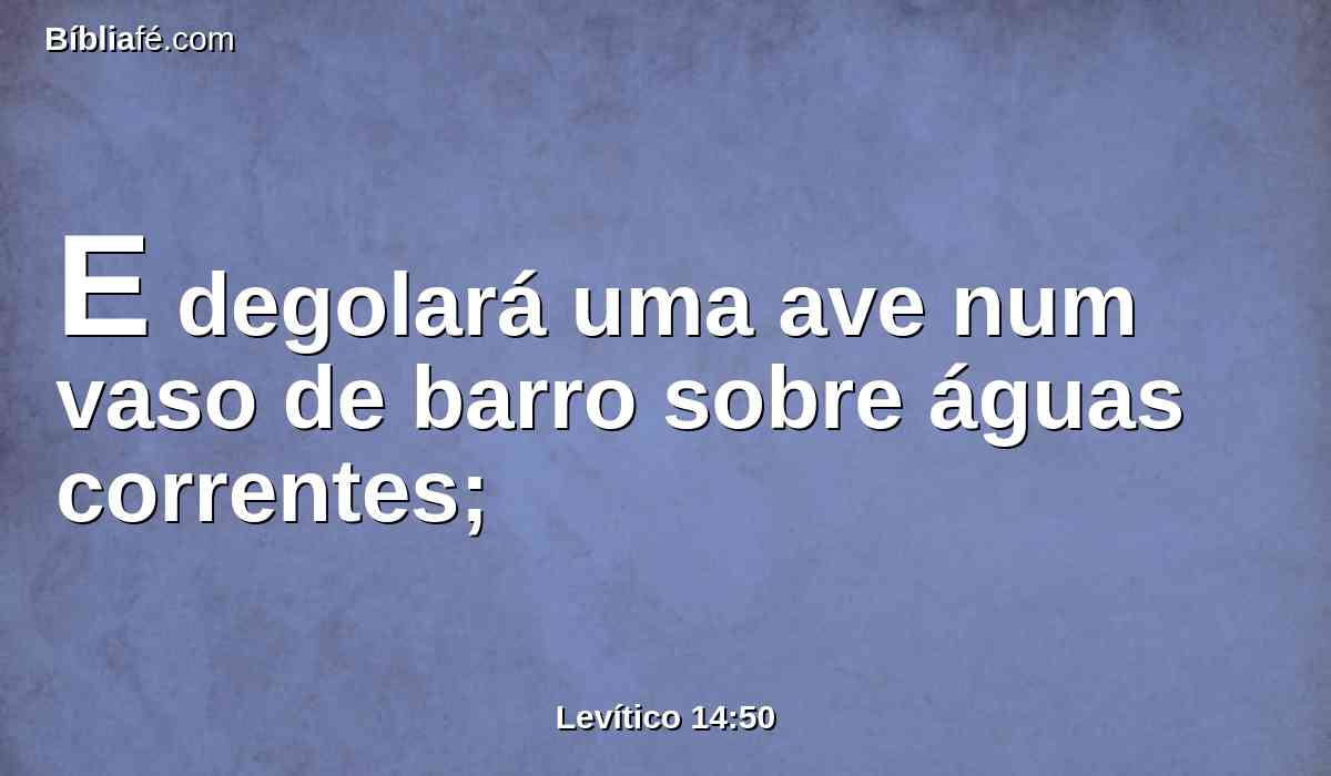 E degolará uma ave num vaso de barro sobre águas correntes;