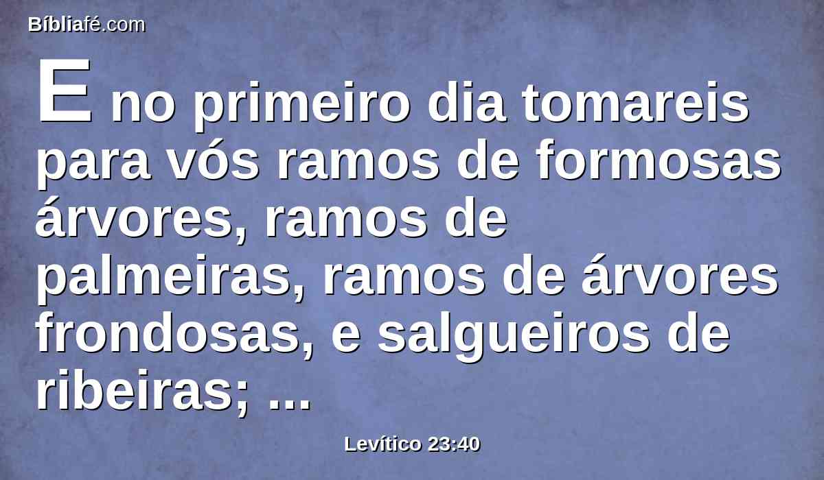 E no primeiro dia tomareis para vós ramos de formosas árvores, ramos de palmeiras, ramos de árvores frondosas, e salgueiros de ribeiras; e vos alegrareis perante o Senhor vosso Deus por sete dias.