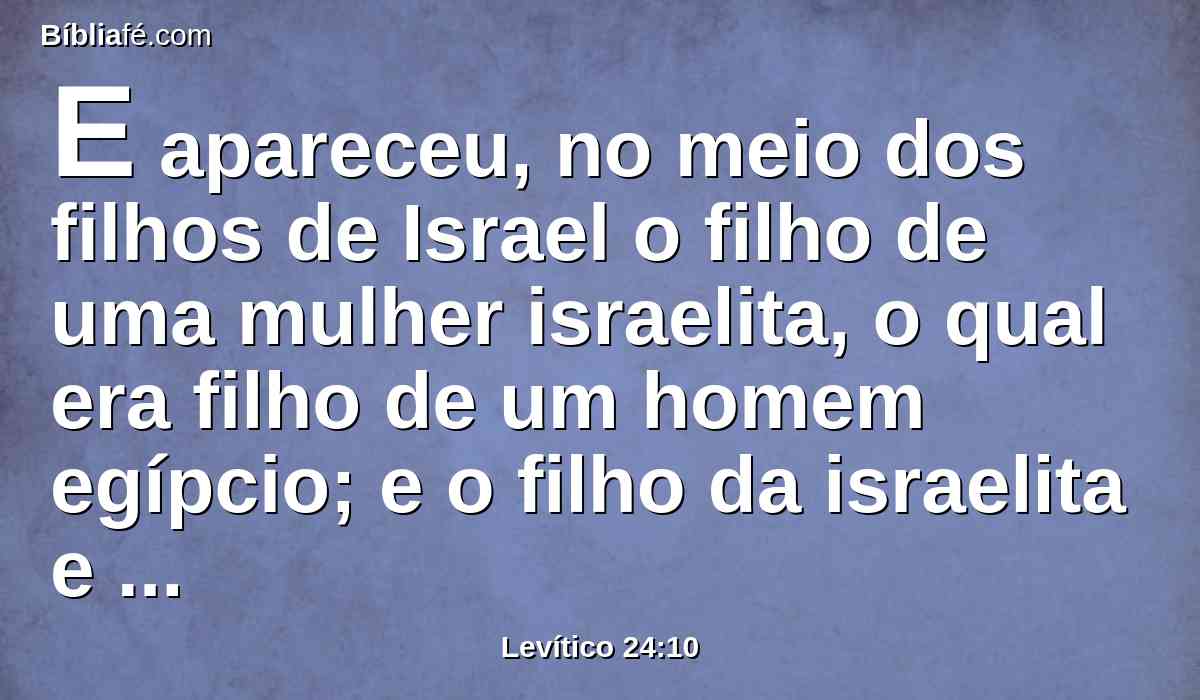 E apareceu, no meio dos filhos de Israel o filho de uma mulher israelita, o qual era filho de um homem egípcio; e o filho da israelita e um homem israelita discutiram no arraial.