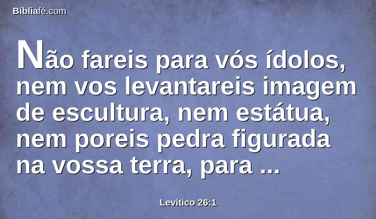 Não fareis para vós ídolos, nem vos levantareis imagem de escultura, nem estátua, nem poreis pedra figurada na vossa terra, para inclinar-vos a ela; porque eu sou o SENHOR vosso Deus.