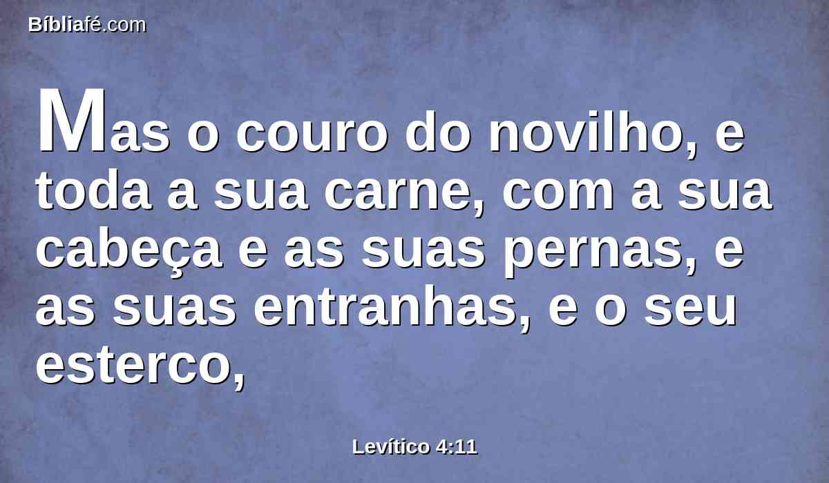 Mas o couro do novilho, e toda a sua carne, com a sua cabeça e as suas pernas, e as suas entranhas, e o seu esterco,