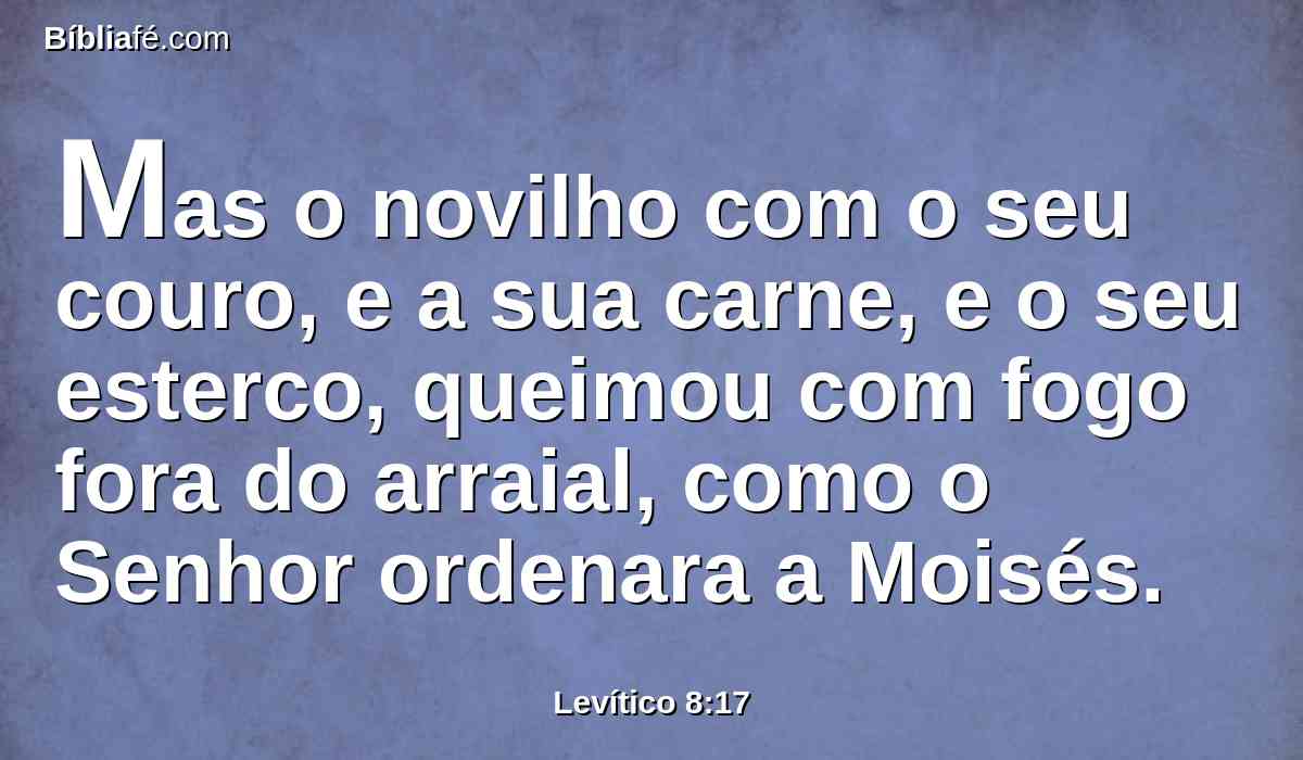 Mas o novilho com o seu couro, e a sua carne, e o seu esterco, queimou com fogo fora do arraial, como o Senhor ordenara a Moisés.