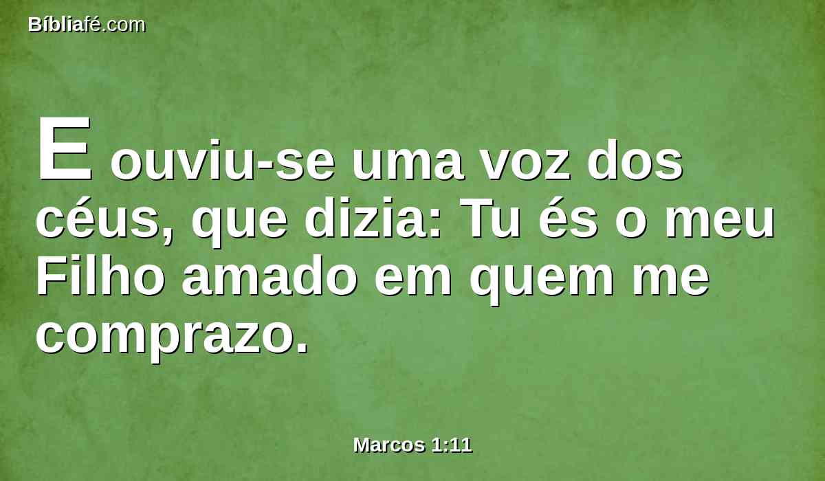 E ouviu-se uma voz dos céus, que dizia: Tu és o meu Filho amado em quem me comprazo.