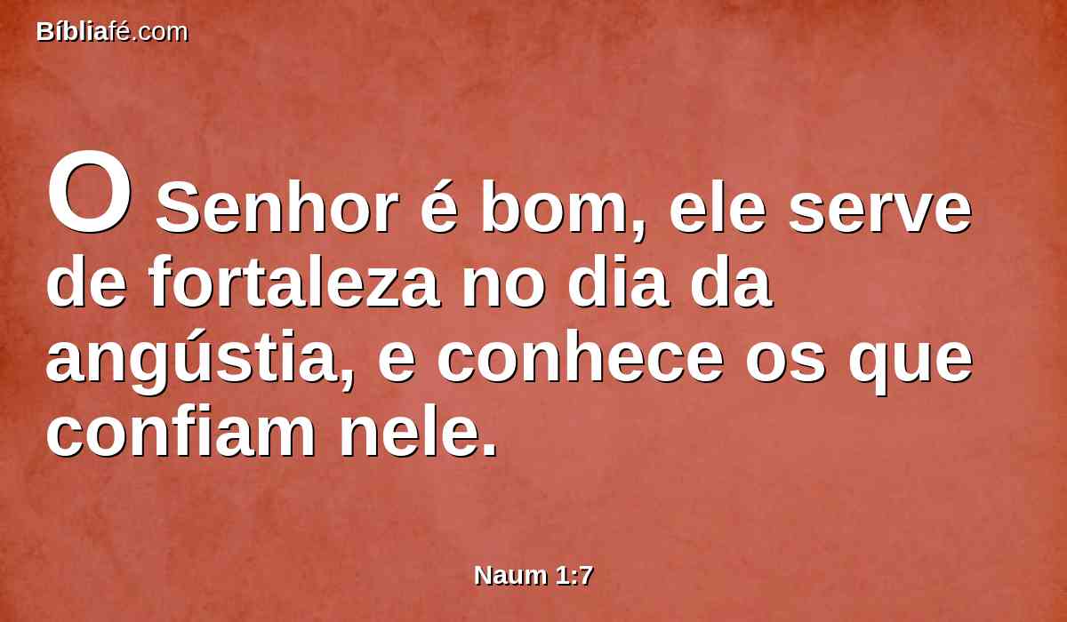 O Senhor é bom, ele serve de fortaleza no dia da angústia, e conhece os que confiam nele.