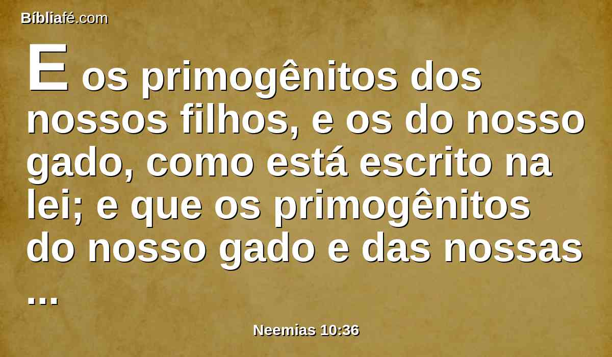 E os primogênitos dos nossos filhos, e os do nosso gado, como está escrito na lei; e que os primogênitos do nosso gado e das nossas ovelhas traríamos à casa do nosso Deus, aos sacerdotes, que ministram na casa do nosso Deus.