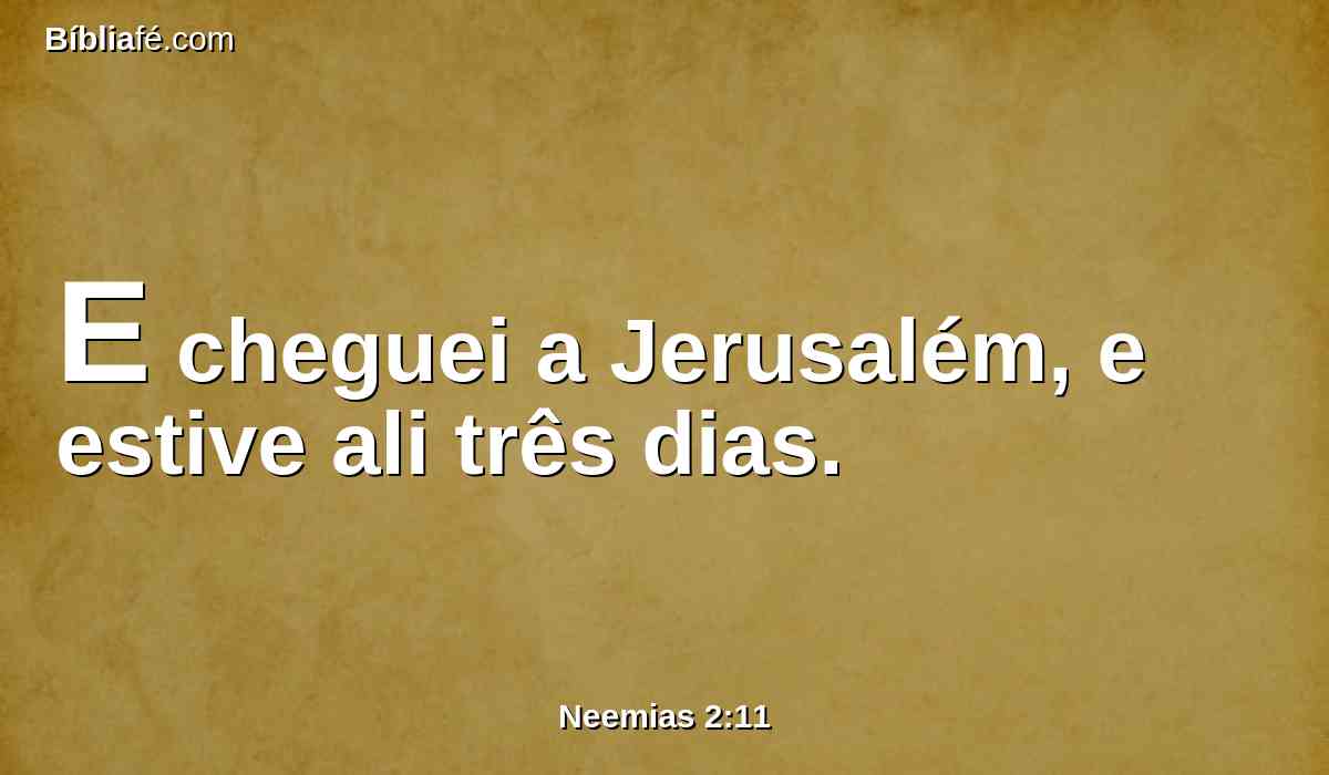 E cheguei a Jerusalém, e estive ali três dias.