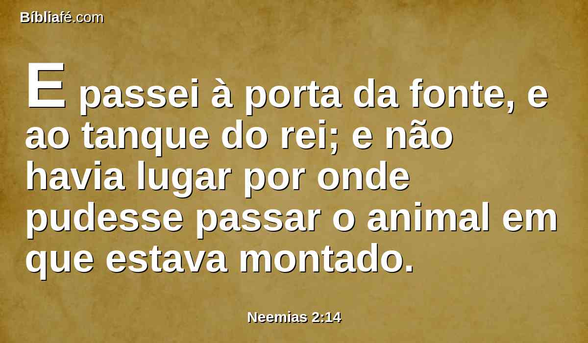 E passei à porta da fonte, e ao tanque do rei; e não havia lugar por onde pudesse passar o animal em que estava montado.