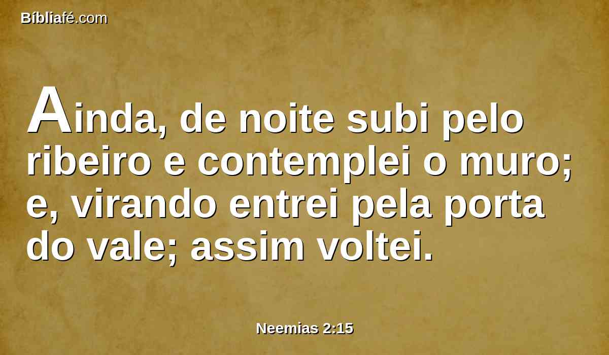 Ainda, de noite subi pelo ribeiro e contemplei o muro; e, virando entrei pela porta do vale; assim voltei.