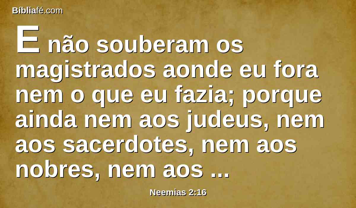 E não souberam os magistrados aonde eu fora nem o que eu fazia; porque ainda nem aos judeus, nem aos sacerdotes, nem aos nobres, nem aos magistrados, nem aos mais que faziam a obra, até então tinha declarado coisa alguma.