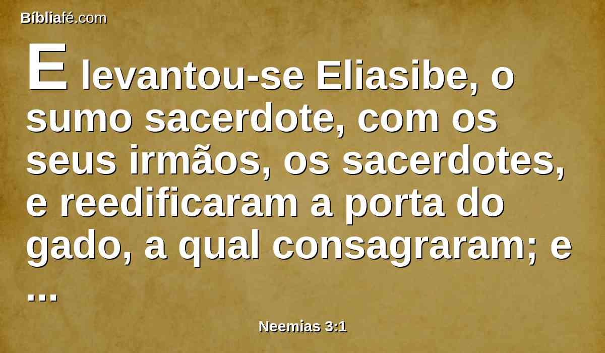 E levantou-se Eliasibe, o sumo sacerdote, com os seus irmãos, os sacerdotes, e reedificaram a porta do gado, a qual consagraram; e levantaram as suas portas, e até à torre de Meá consagraram, e até à torre de Hananel.