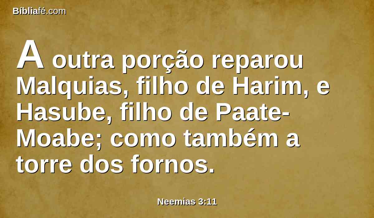 A outra porção reparou Malquias, filho de Harim, e Hasube, filho de Paate-Moabe; como também a torre dos fornos.