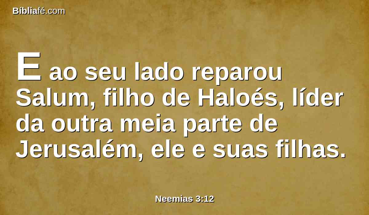 E ao seu lado reparou Salum, filho de Haloés, líder da outra meia parte de Jerusalém, ele e suas filhas.